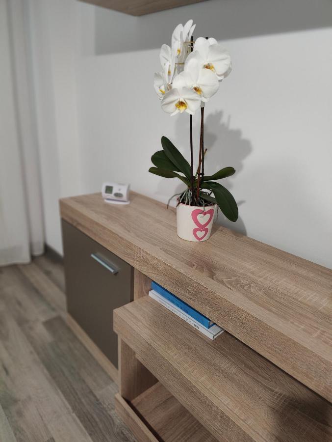 Apartment Central Residence Campulung