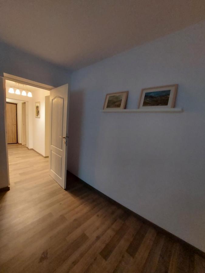 Central Residence Apartment Campulung