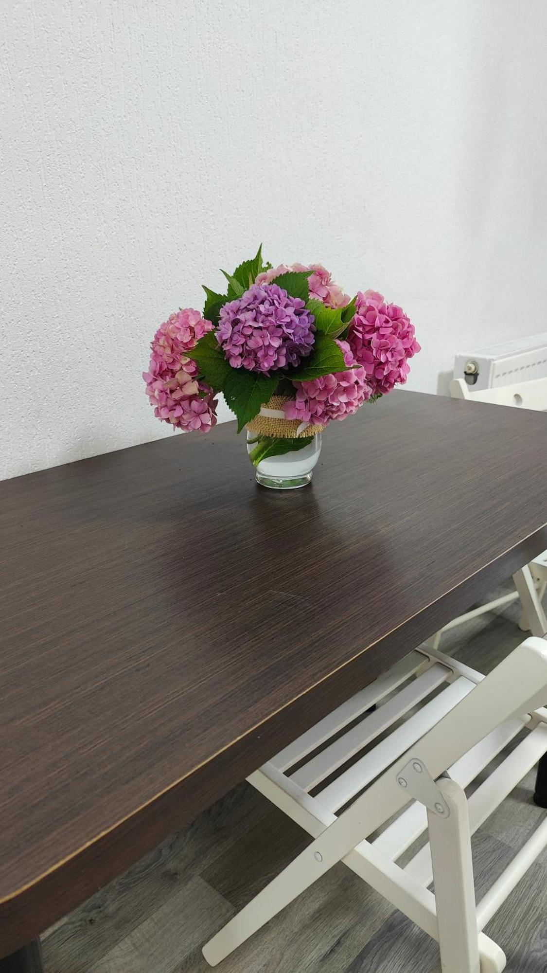 Central Residence Apartment Campulung